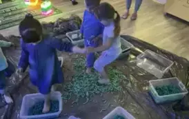 488581940_1229739845237278_3465180818418817141_n