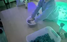 490988712_917036297088356_3198478521238217837_n